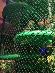 点击看大图 -恐龙探索乐园(磁器口店)