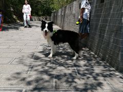 -沕沕水生态风景区