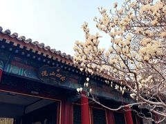 -颐和园