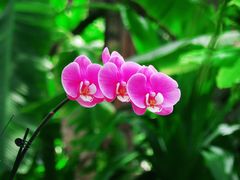 -北京植物园-展览温室