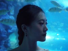 -左海海底世界