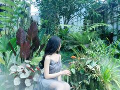 -东莞植物园