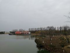 -上海长兴岛郊野公园