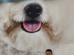 -上海前滩香格里拉大酒店