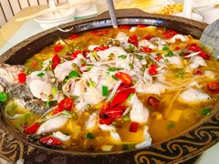 -金三可市井水煮鱼(金碧园店)