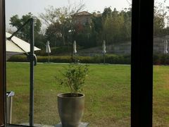 -上海崇明金茂凯悦酒店