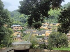 -杨家堂村