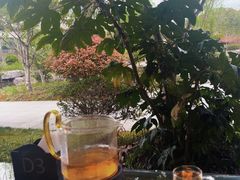 -春色如许·茶食餐厅(桃李春风店)