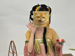 -海马体照相馆(上海月星环球港店)