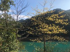 -午潮山国家森林公园