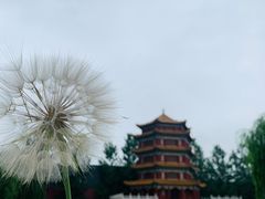 -纪晓岚文化园
