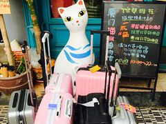 -猫咪博物馆(顶澳仔猫街店)