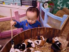 -正佳雨林生态植物园