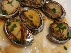 清蒸小鲍鱼-大东海海鲜酒楼(渔人码头总店)