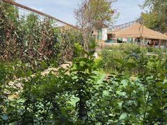 -苏记溪河鲢鱼庄(天府新区店)