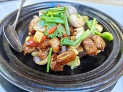 -鸽小宝(深圳首店)