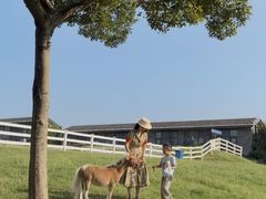 -天目湖涵田度假村