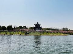 -上海海湾国家森林公园