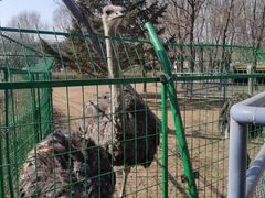 -长白岛森林公园