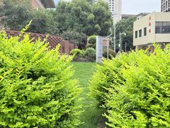 -长沙市青少年宫