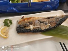 -元气寿司(金光华店)