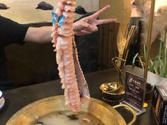 -土著渔匠·养生蝴蝶鱼(香樟路店)