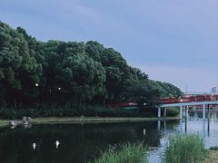 -美兰湖景区