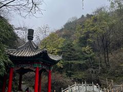 -王顺山国家森林公园