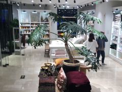 -ZARA(世贸天阶店)