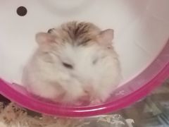 -三旗百汇商品城