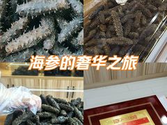 -宫品海参专卖店(静安大宁店)