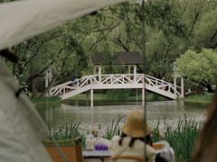 -上海共青森林公园