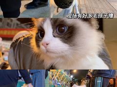 -大洋晶典(东街店)