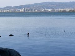 -西昌邛海湿地