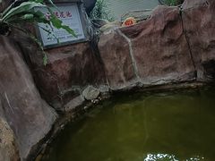 -泉眼温泉