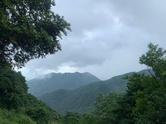 -银瓶嘴森林公园