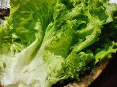 生菜-红小姐的烤肉店(西三旗店)