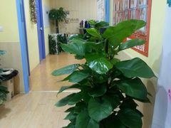 -金宝贝早教(和悦汇店)