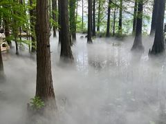 -东湖落雁景区