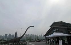 -恐龙探索乐园(磁器口店)
