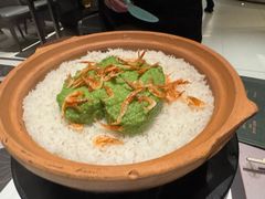 -新兴·金羊座·粤菜点心(乐峰店)
