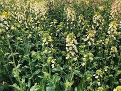 -中国天府农业博览园