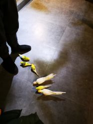 -酷嗒动物文化乐园(cutezoo西溪乐天城店)