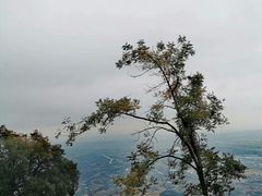 -窦圌山风景区