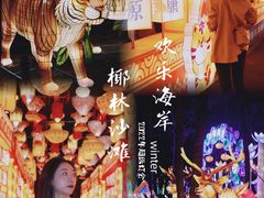 -欢乐海岸椰林沙滩-2025湾区超级灯会