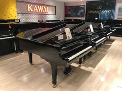 -柏斯音乐艺术中心·钢琴·吉他(世纪金源店)