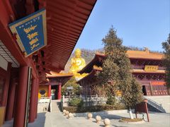 -大伊山景区