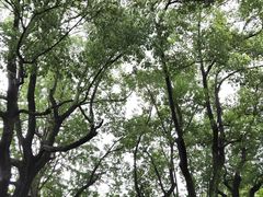 -申粤轩酒楼·三十年粤菜经典(丁香花园店)