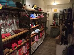 景点-猫咪博物馆(顶澳仔猫街店)