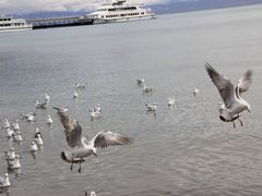 -青海湖二郎剑景区